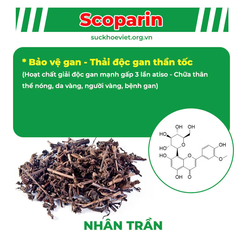 pqa mát gan cao lỏng 10