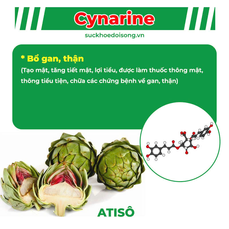 pqa mát gan cao lỏng 9
