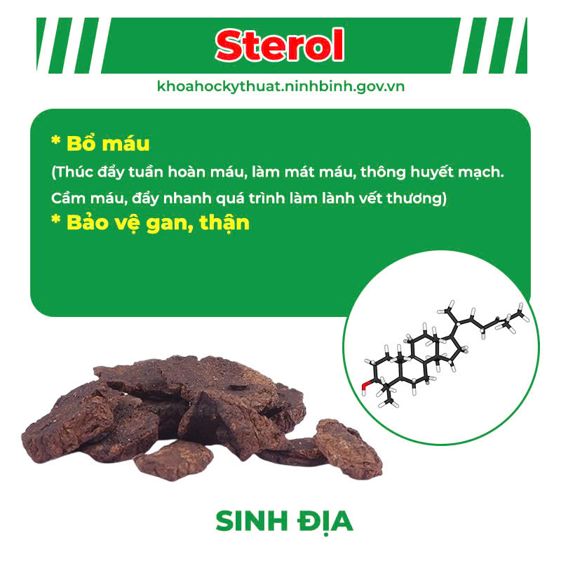 pqa mát gan siro 1