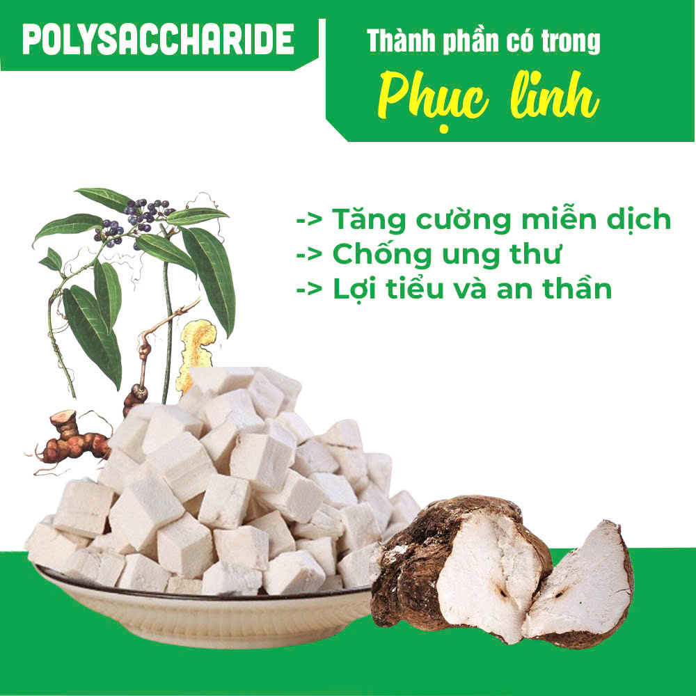 PQA Bồi bổ Mệnh Môn Thủy 2