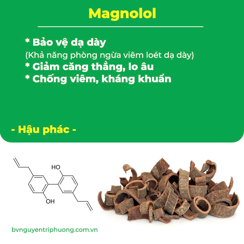 pqa nonal dạ dày 2