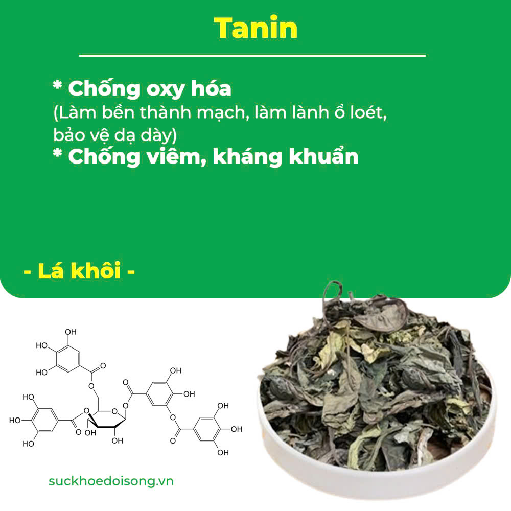 pqa nonal dạ dày 4
