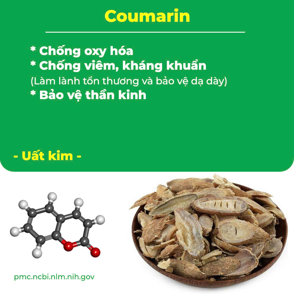 pqa nonal dạ dày 5
