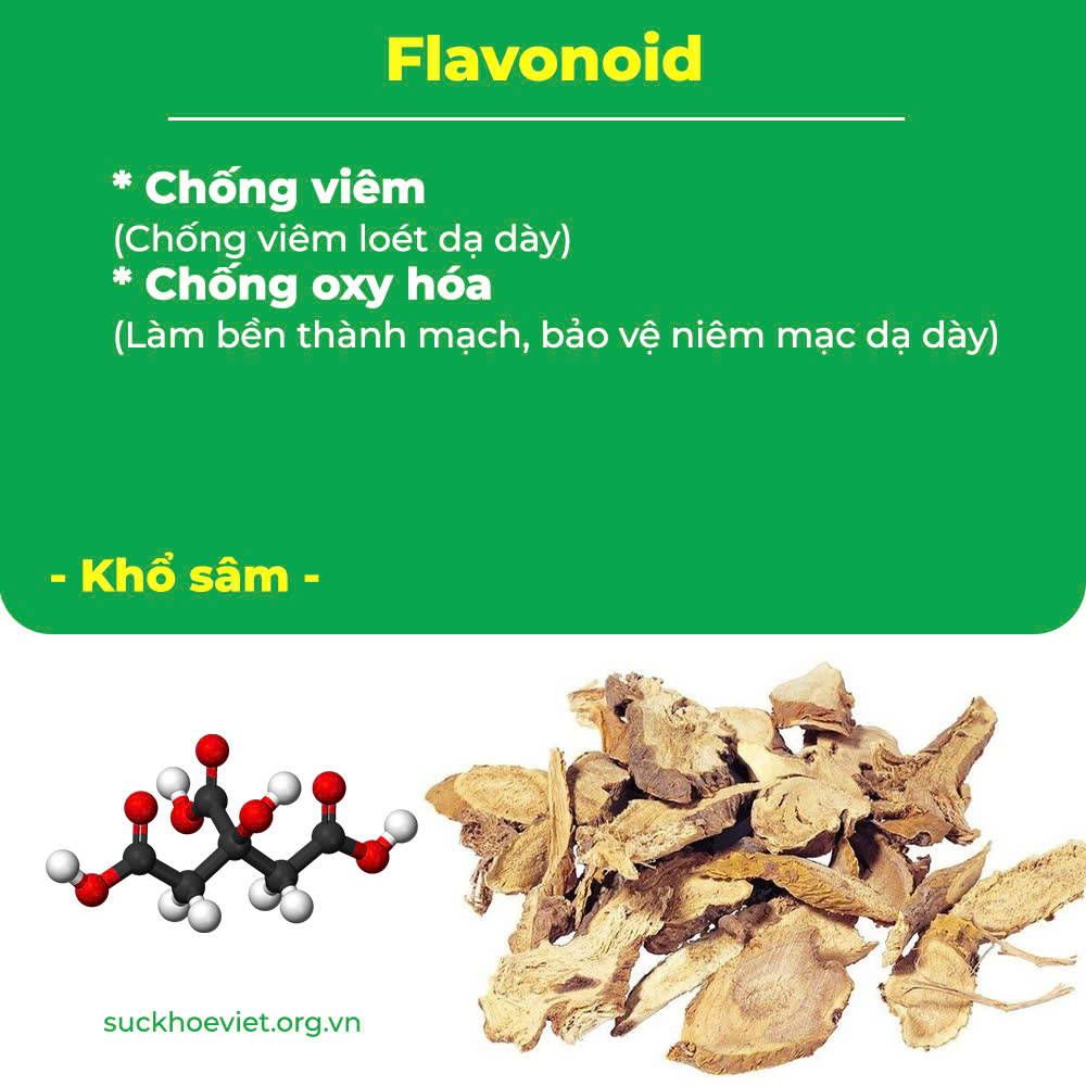 pqa nonal dạ dày 6