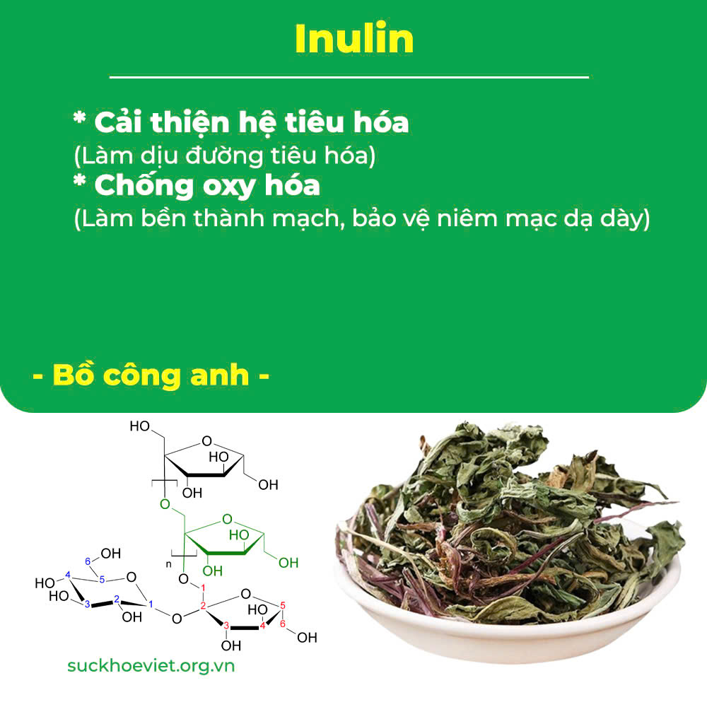 pqa nonal dạ dày 8