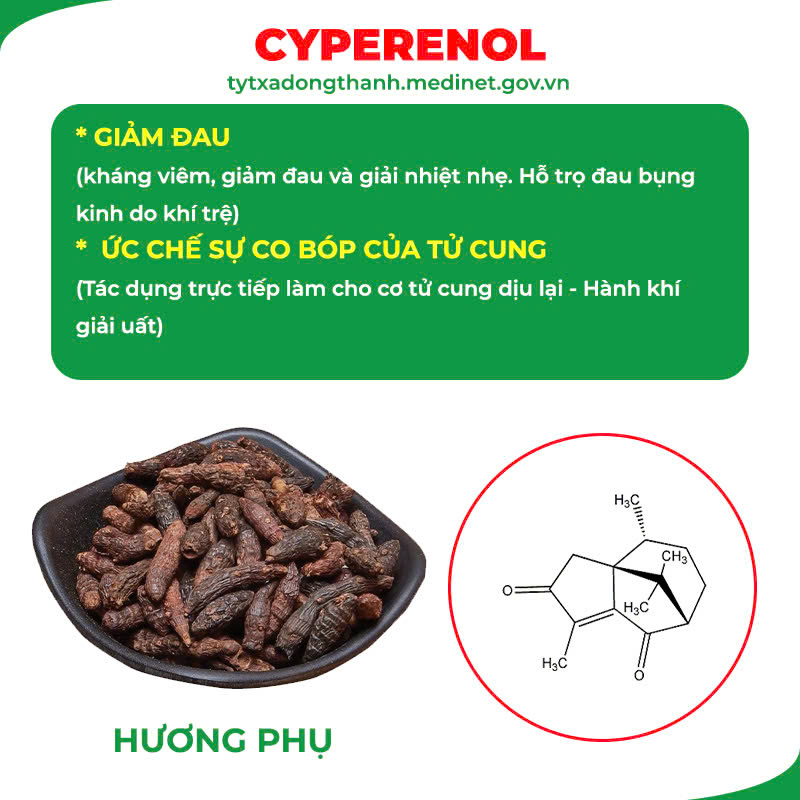 dược liệu của pqa ngọc tố nữ 4