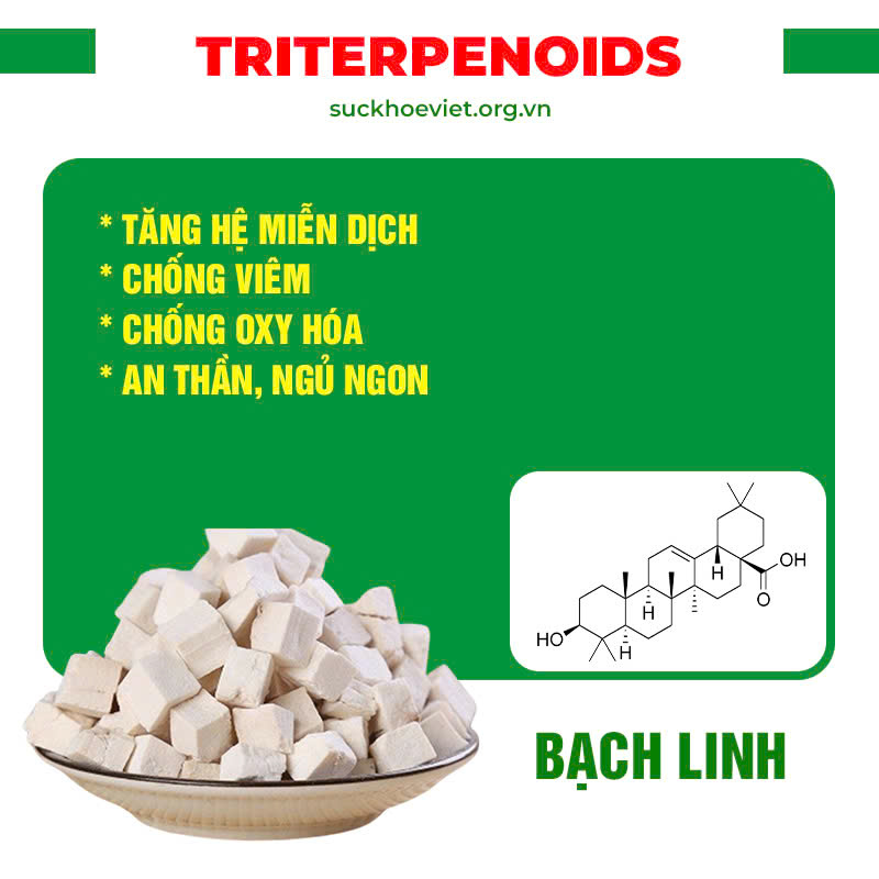 pqa phế quản 1