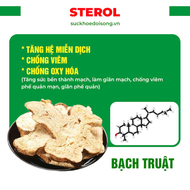 pqa phế quản 2