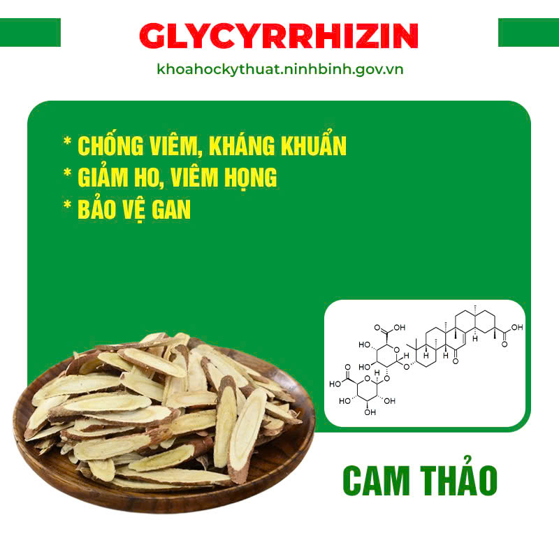 pqa phế quản 4