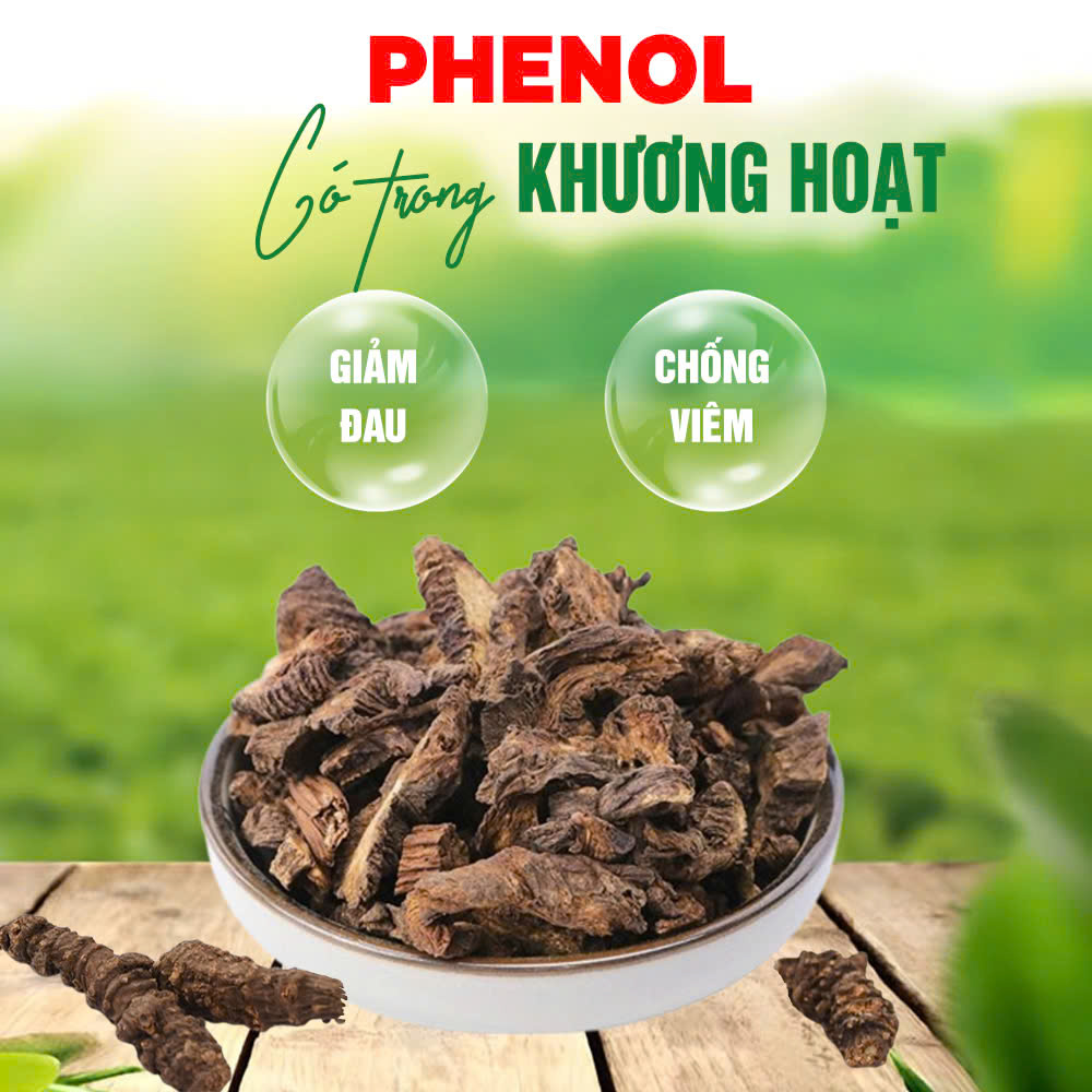 pqa phúc thống 1
