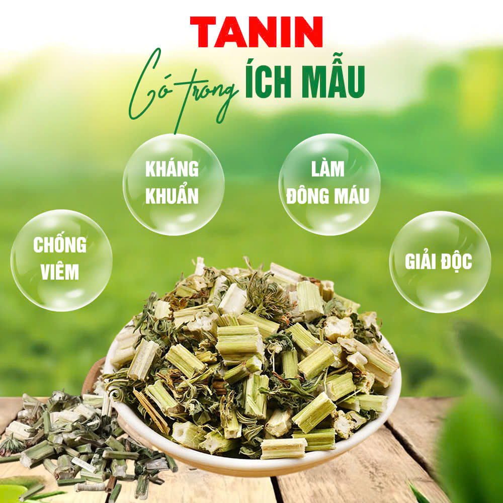 pqa phúc thống 2