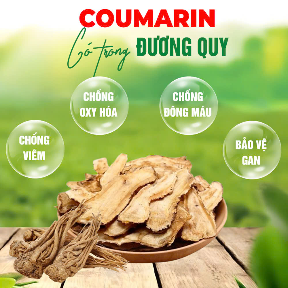 pqa phúc thống 3