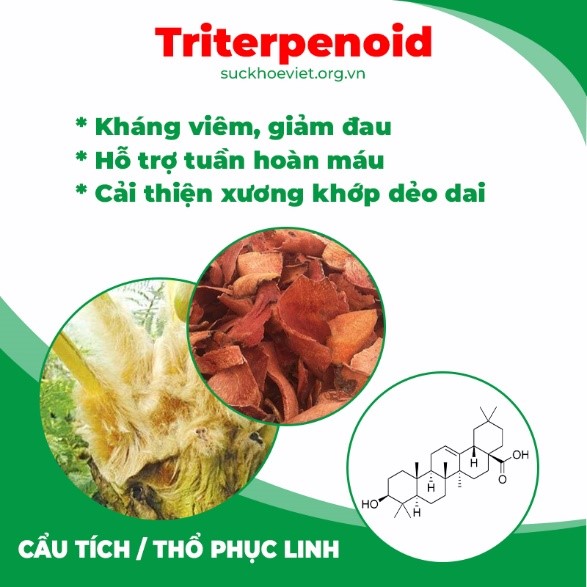 pqa thiên niên kiện 2