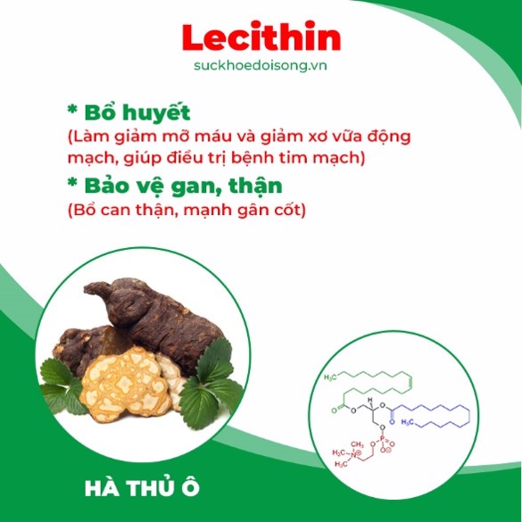 pqa thiên niên kiện 3