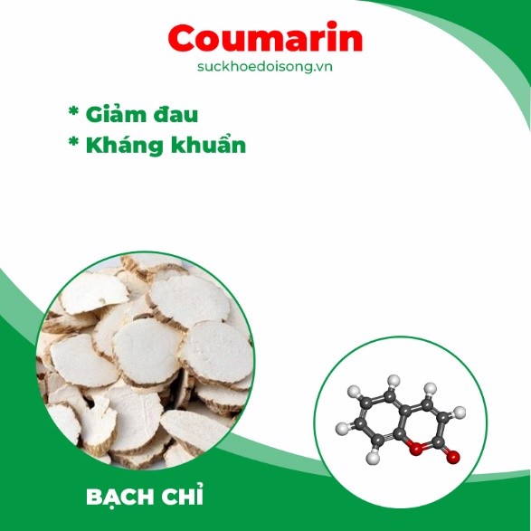 pqa thiên niên kiện 4