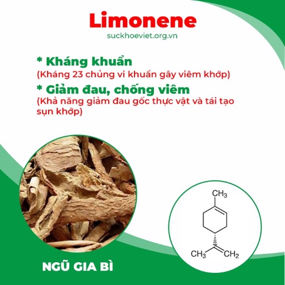 pqa thiên niên kiện 5