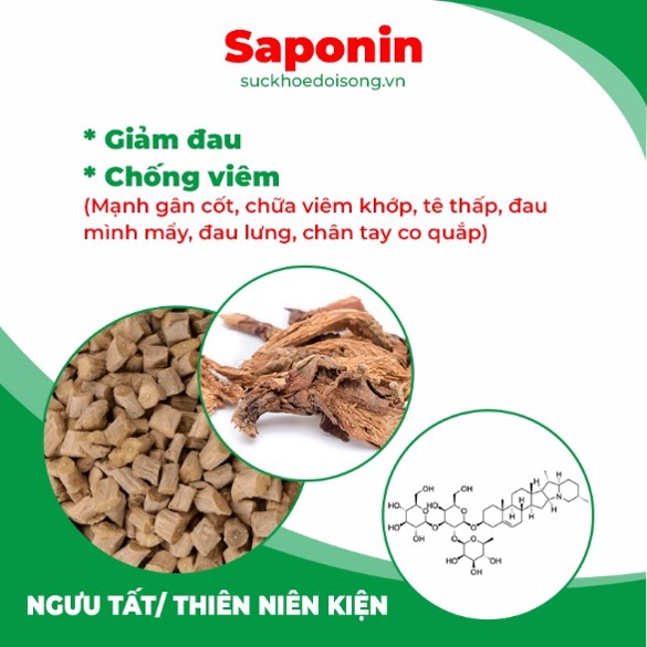 pqa thiên niên kiện 6