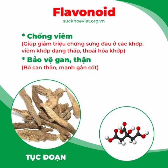 pqa thiên niên kiện 7