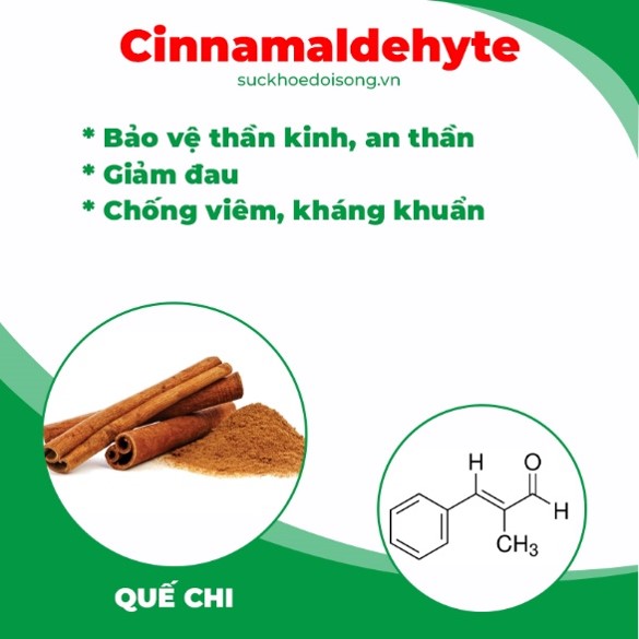 pqa thiên niên kiện 8