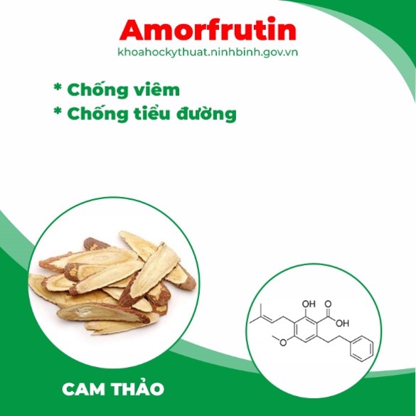 pqa thiên niên kiện 9