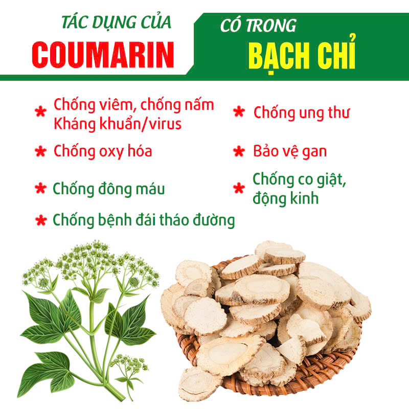 pqa xuyên khung tế tân 1