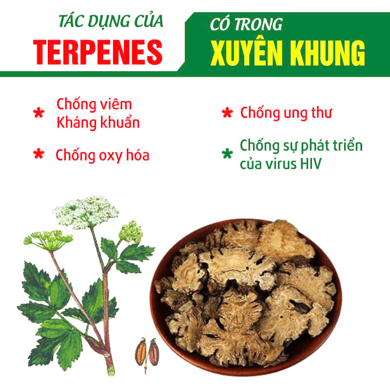 pqa xuyên khung tế tân 2