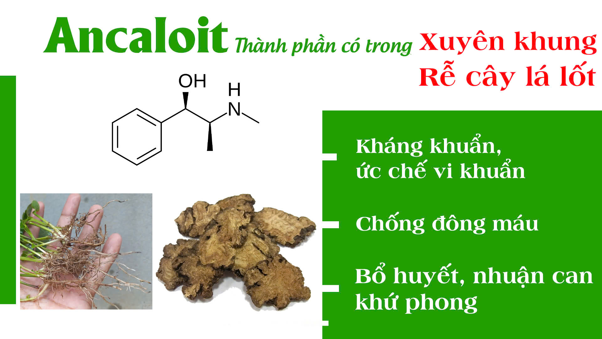 pqa xuyên khung xương khớp 1