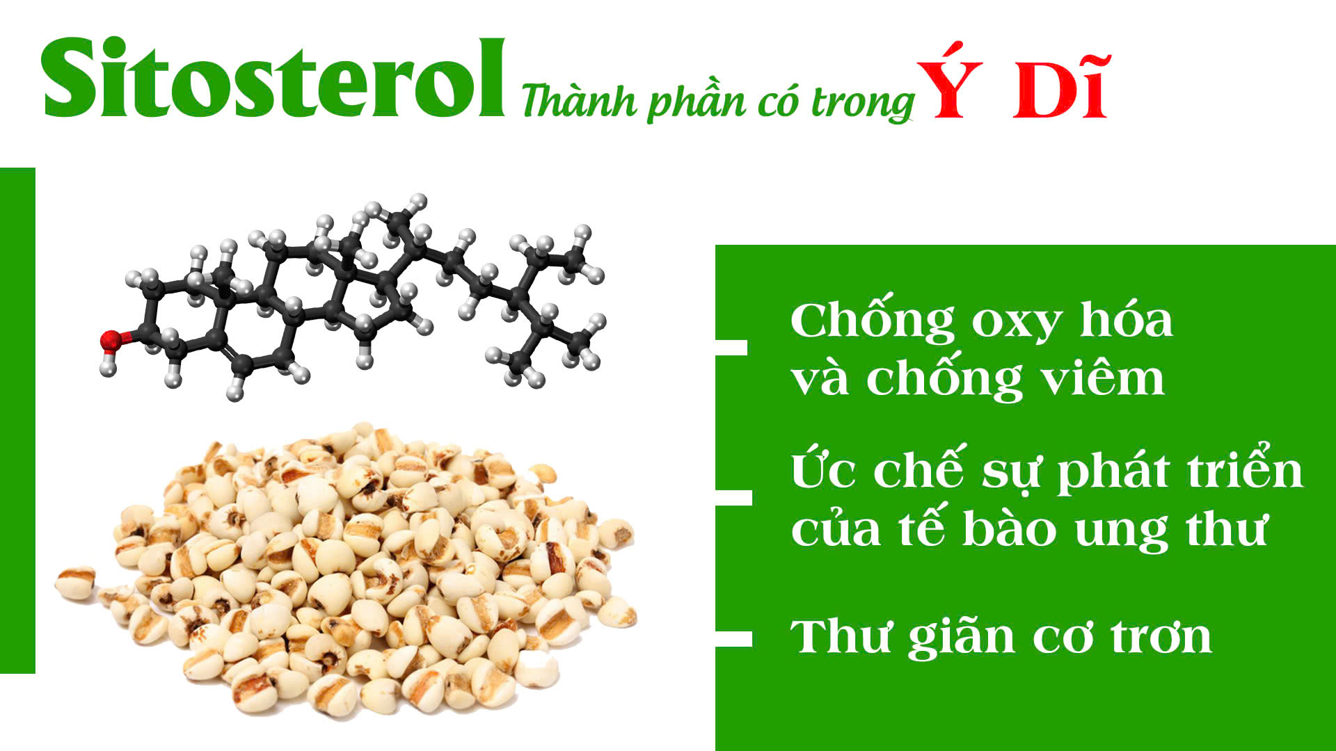 pqa xuyên khung xương khớp 2