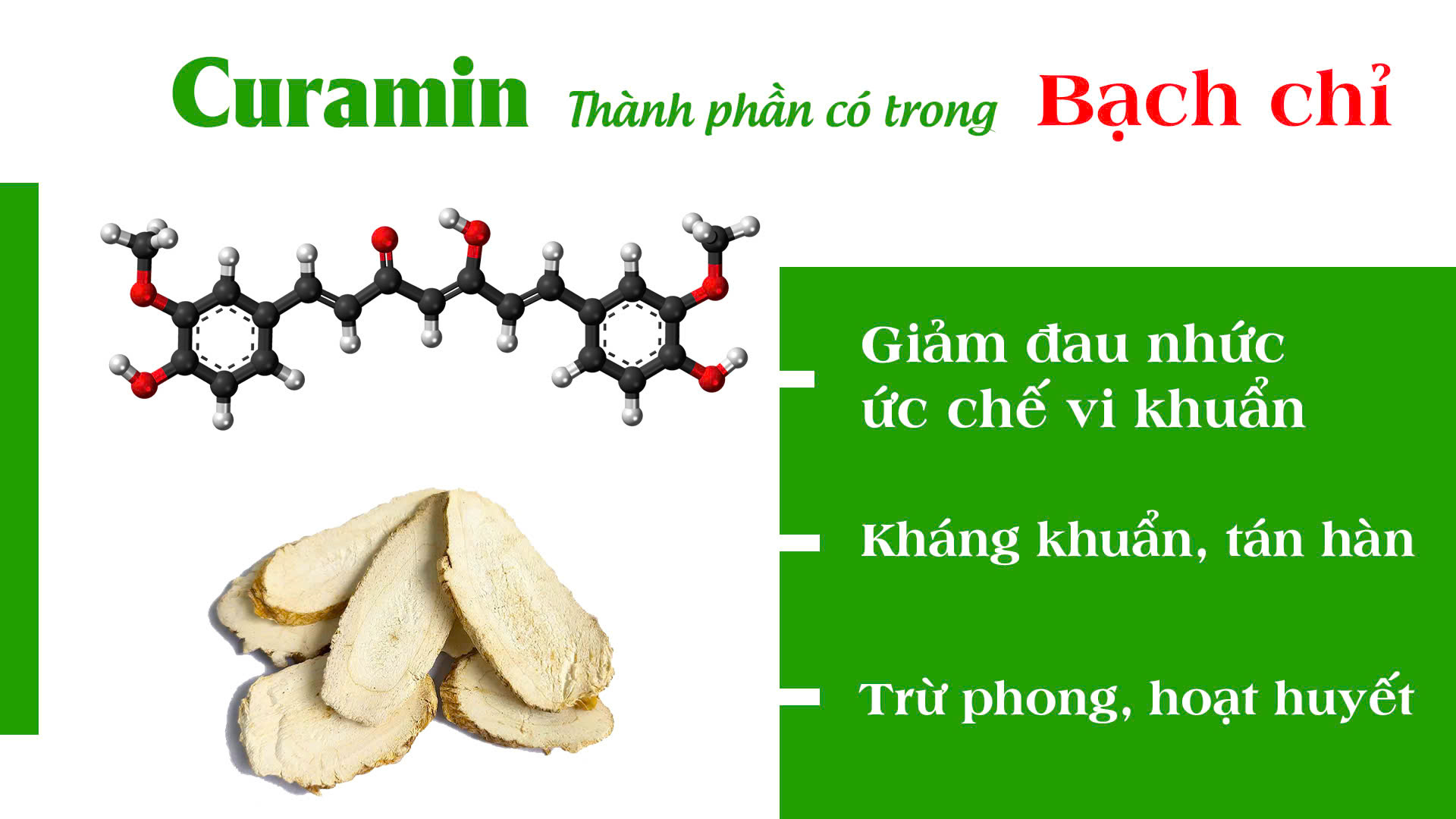 pqa xuyên khung xương khớp 3