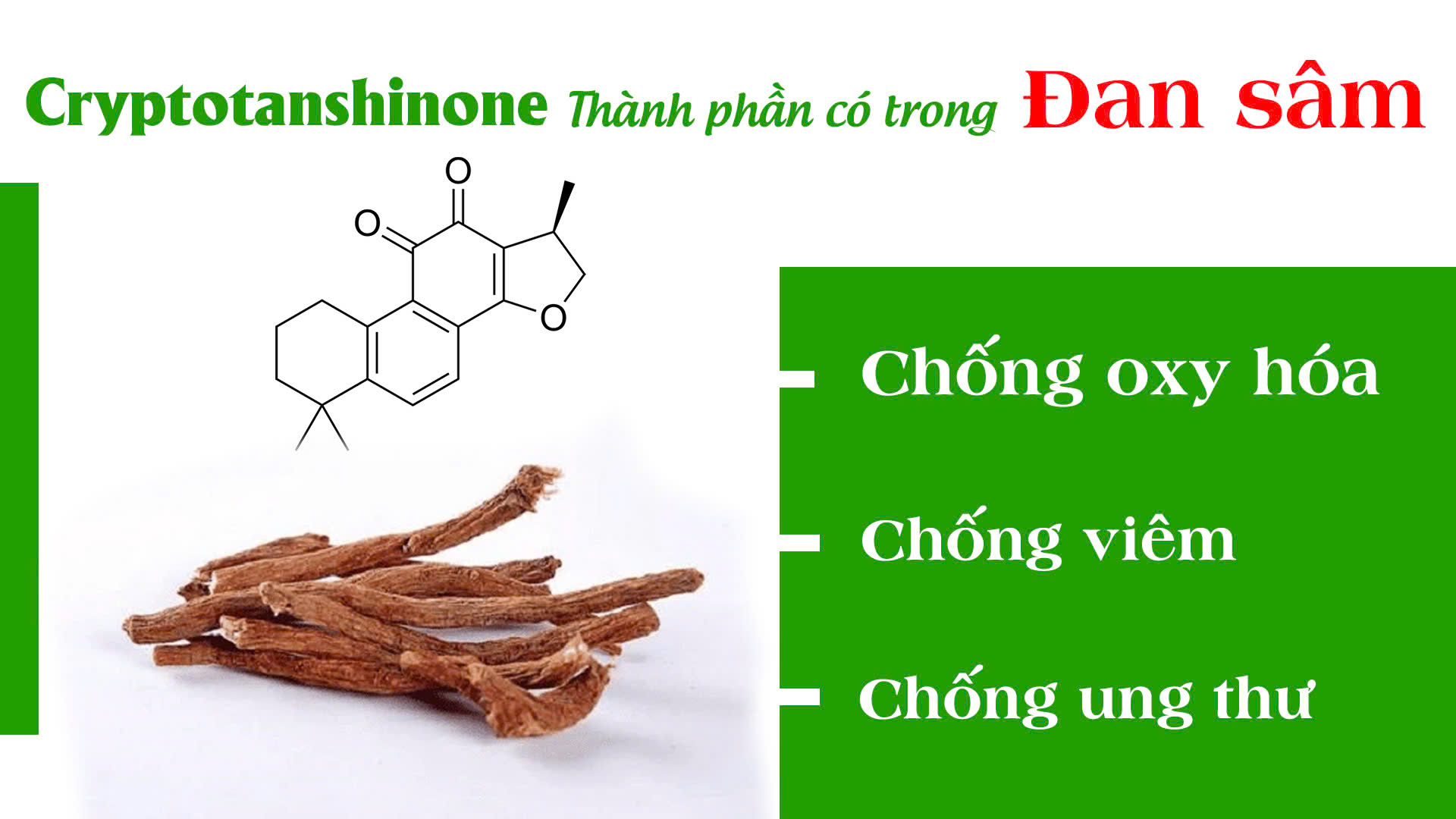 pqa xuyên khung xương khớp 4