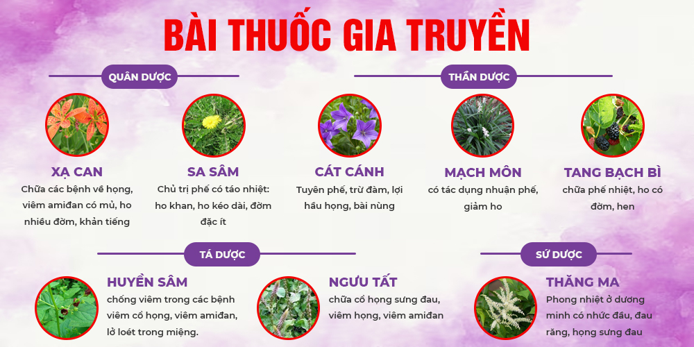 bài thuốc amidan