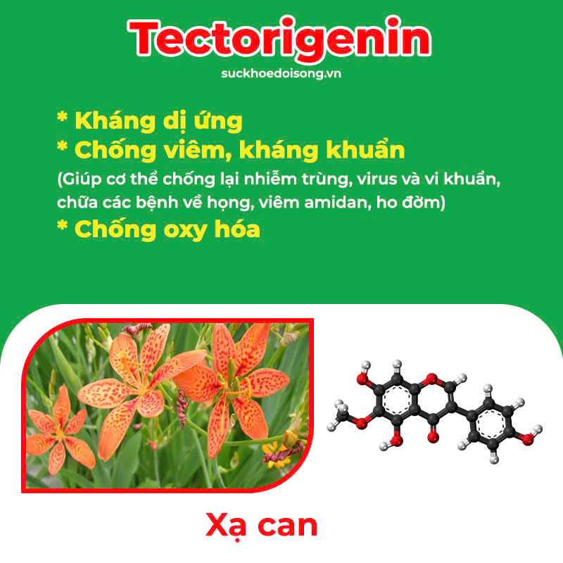 thành phần hoá học của pqa amidan