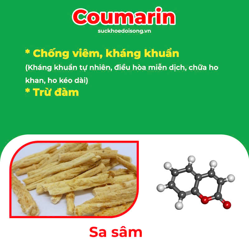 thành phần hoá học của pqa amidan
