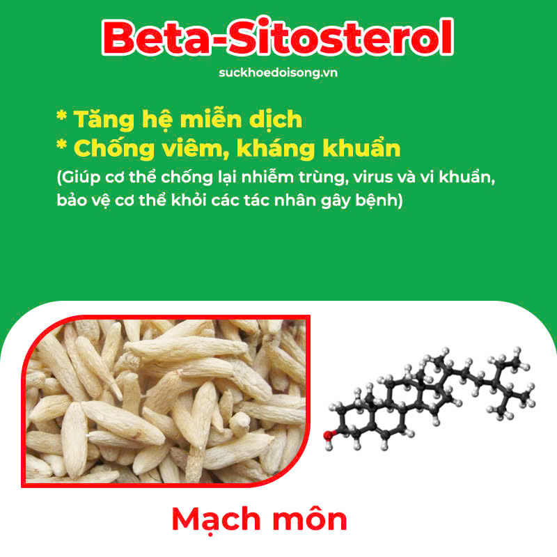 thành phần hoá học của pqa amidan