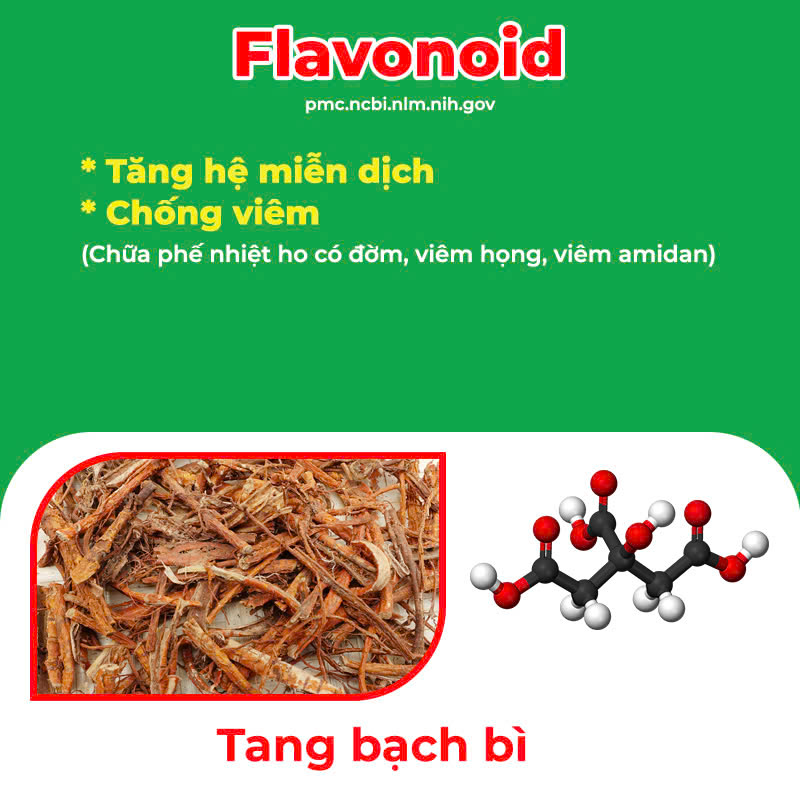 thành phần hoá học của pqa amidan
