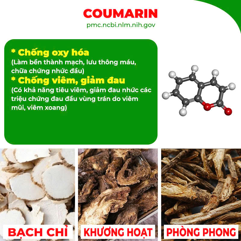 thành phần của pqa hoàng cầm