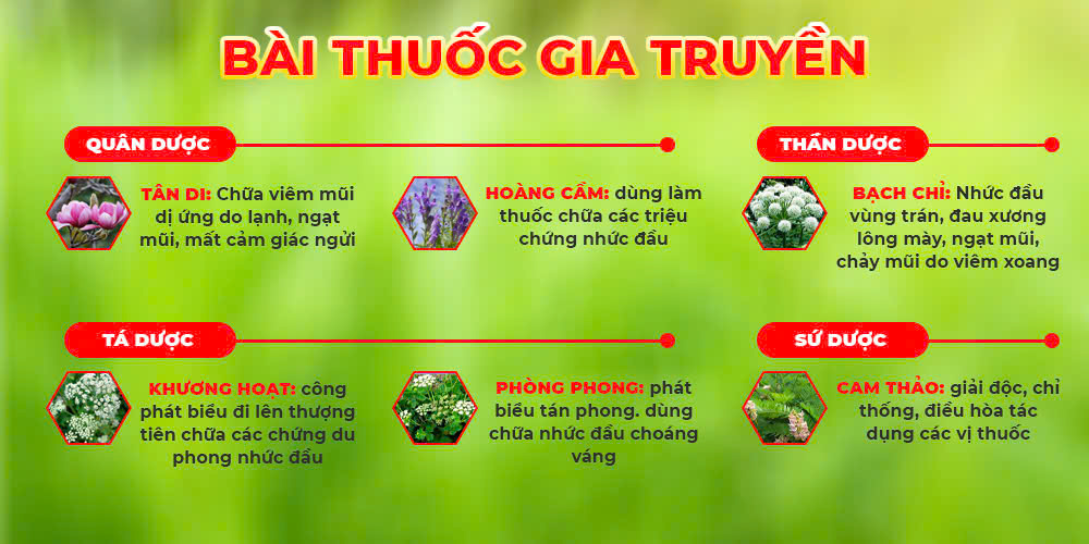 bài thuốc của pqa hoàng cầm