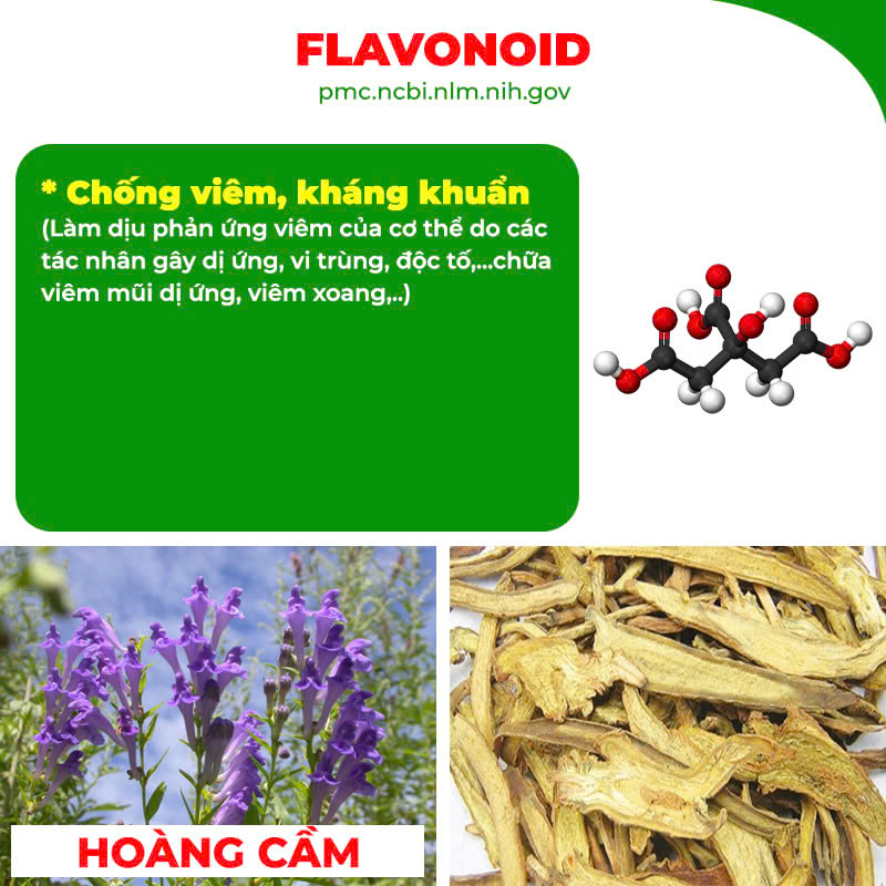 thành phần của pqa hoàng cầm