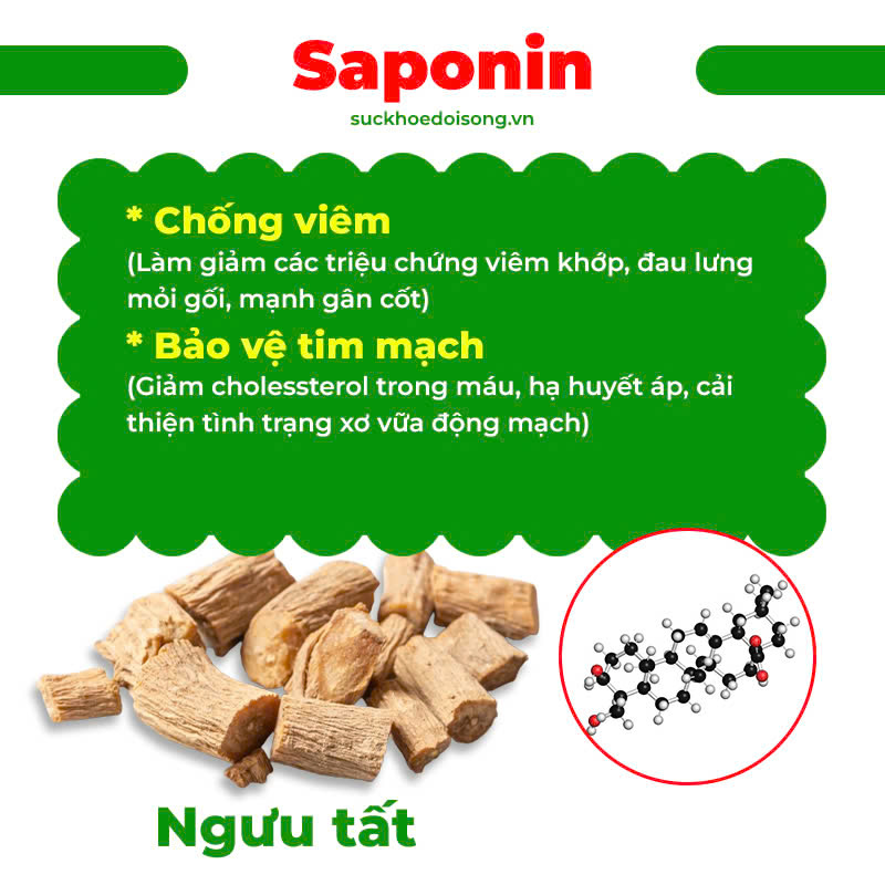 thành phần của pqa hy thiêm