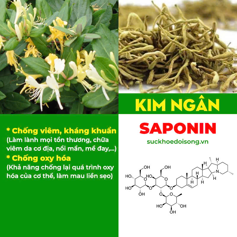 thành phần hoá học có trong dược liệu của pqa kim ngân phong