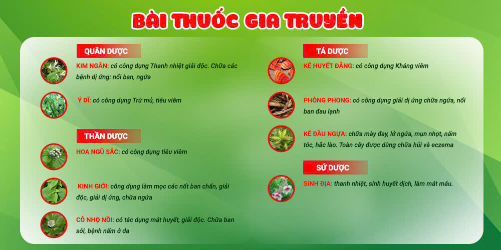 Bài thuốc của pqa kim ngân phong