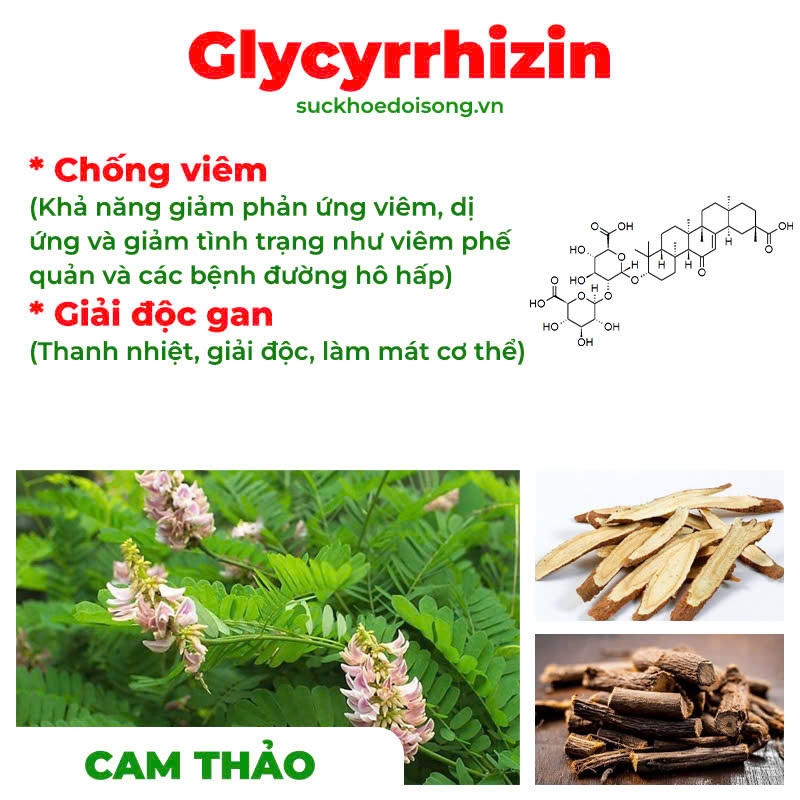 thành phần của PQA Phế quản người lớn