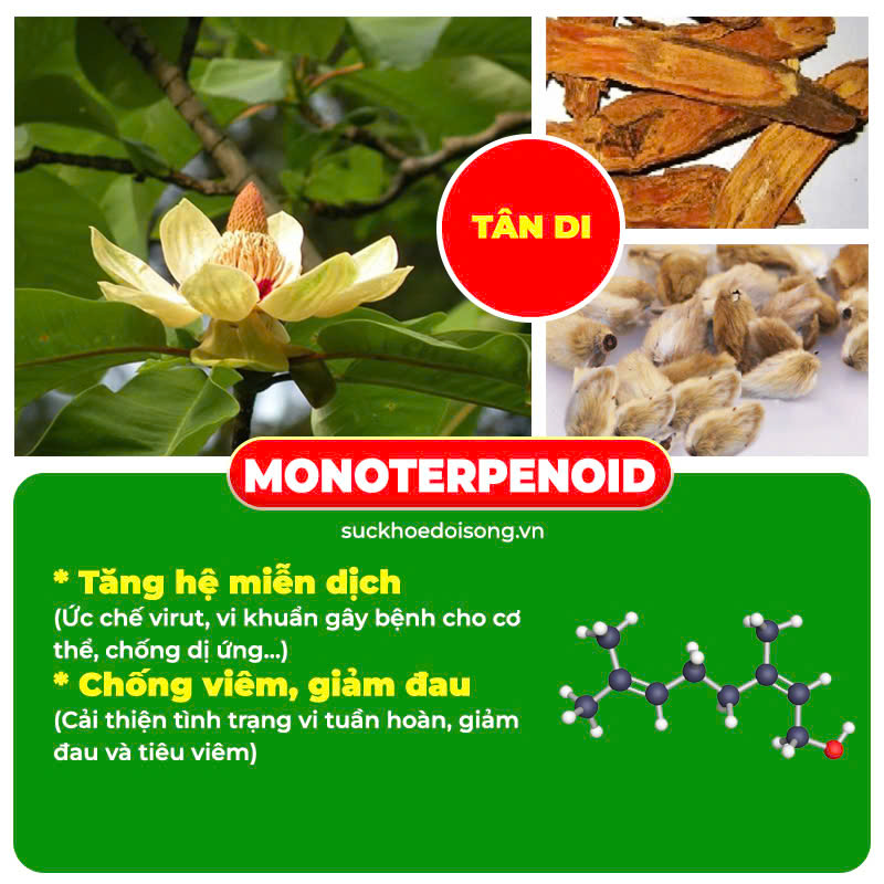 Thành phần hoá học có trong dược liệu của PQA thương nhĩ tử