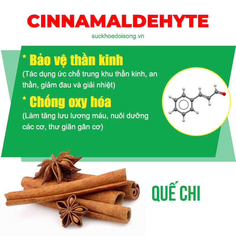 thành phần của pqa vai gáy