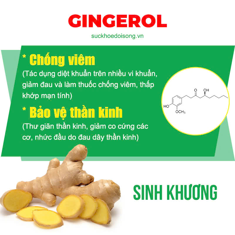 thành phần của pqa vai gáy