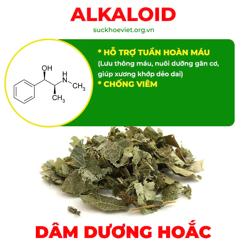 thành phần của pqa xương khớp viên nang
