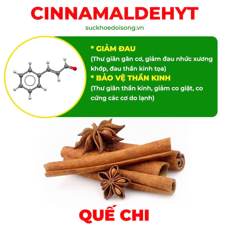 thành phần của pqa xương khớp viên nang