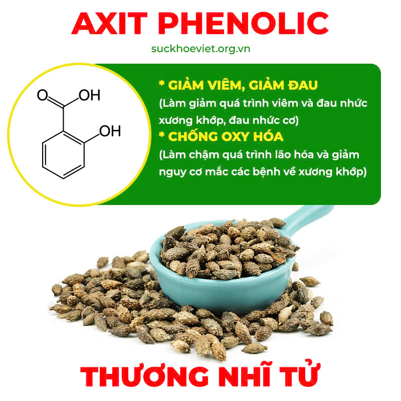 thành phần của pqa xương khớp viên nang