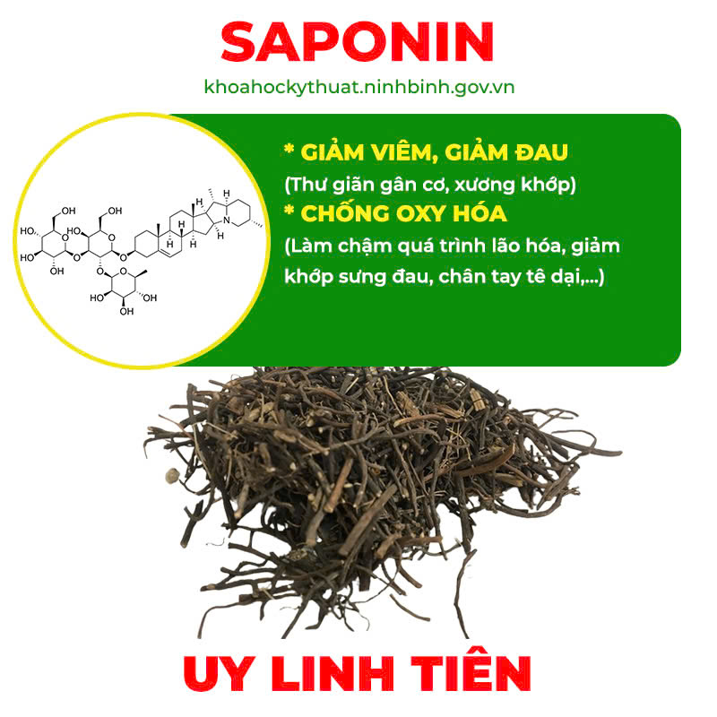 thành phần của pqa xương khớp viên nang