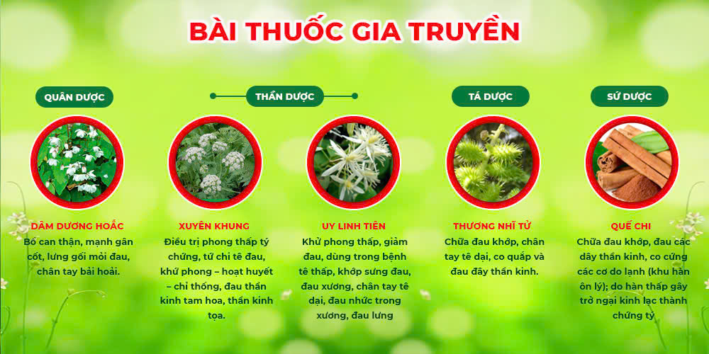 Bài thuốc PQA xương khớp viên nang